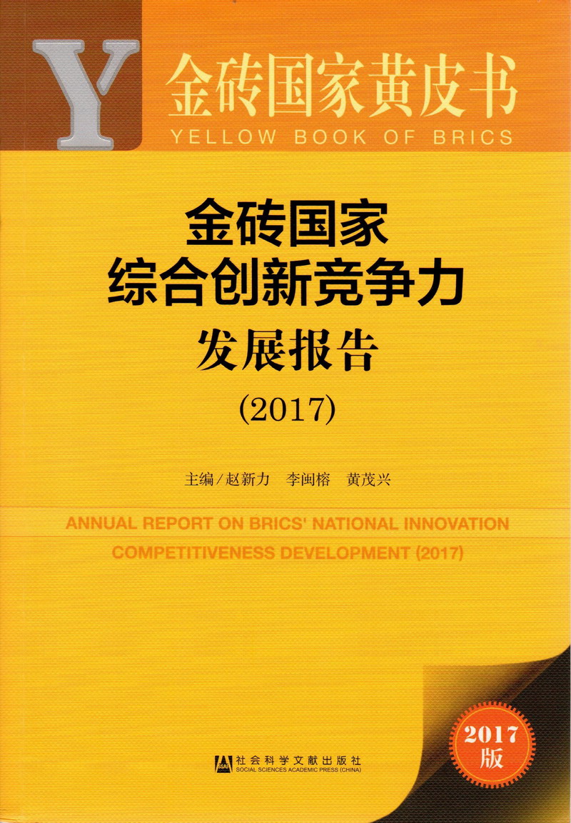 不用钱不用下载的日屄视频金砖国家综合创新竞争力发展报告（2017）